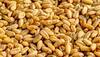 Foodgrain Production