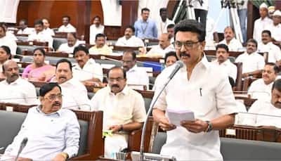Will Recent Raids Dent DMK's Chances In 2026 Assembly Elections? Know Here
