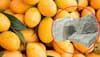 Calcium Carbide in Fruits: How This Hidden Chemical Might Be HARMING Your Body Every Day