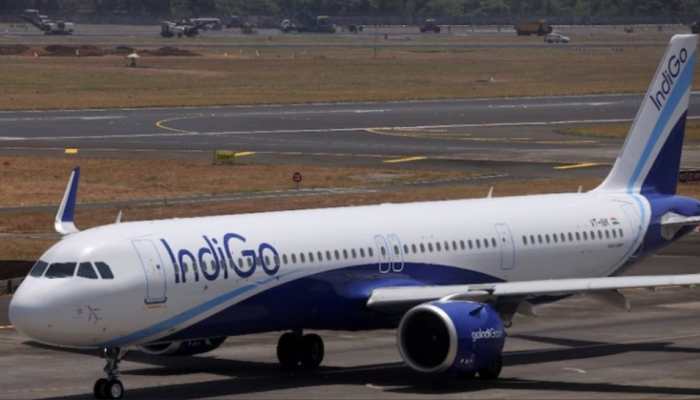 Centre To Take Decision On Deal With Turkish Airlines, Says Indigo Centre To Take Decision On Deal With Turkish Airlines, Says Indigo