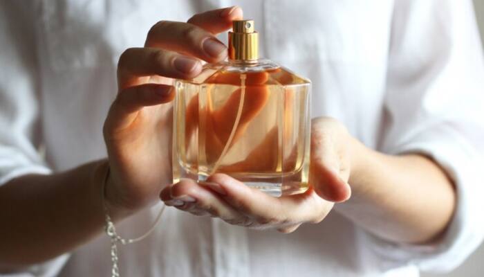 Scent Sensations: Top Perfumes for Women that Speak Style &amp; Elegance