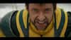 Wolverine