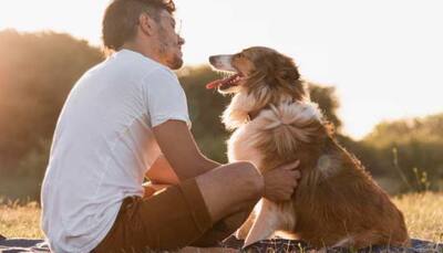 The Power Of Pets In Reducing Loneliness And Social Isolation For At-Risk Groups 