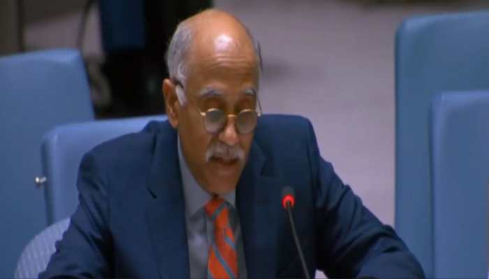 Pakistan Violated Spirit Of Indus Waters Treaty Through Terror: India At UNSC