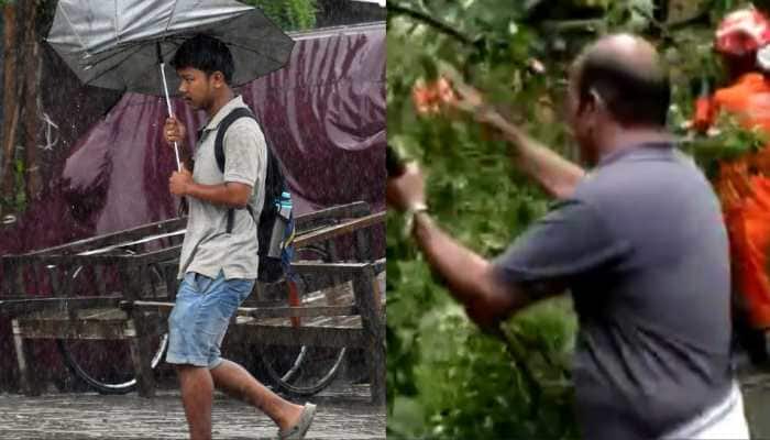 Monsoon Arrives Early In Kerala, Red Alert In Tamil Nadu Amid Heavy Rain