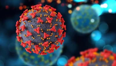 Rise In COVID 19 Cases In India: Precautionary Measures Indians Should Take Amid Rising Cases