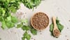 From Better Digestion To Weight Loss: 10 Incredible Health Benefits Of Consuming Soaked Coriander Seeds