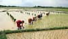 Farmers