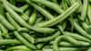 healthy eating habits