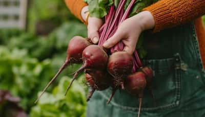 Daily Dose Of Beetroot-Check 10 Delicious Ways To Include In Your Everyday Diet