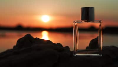 Top 4 Women's Perfumes Under ₹400: Fragrances that Smell & Feel Luxurious