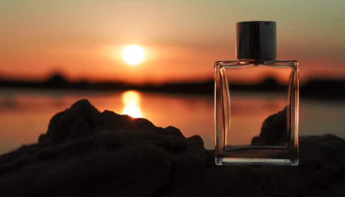 Top 4 Women's Perfumes Under ₹400: Fragrances that Smell &amp; Feel Luxurious