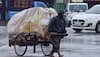 Orange Alert Issued In 30 Uttar Pradesh Districts, Rainfall Likely To Continue Till June 5