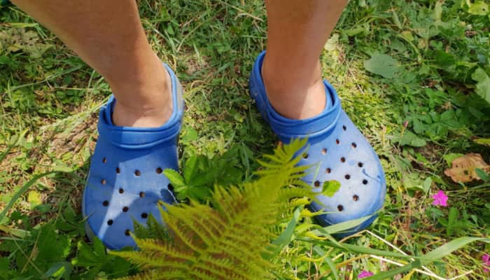 Comfy Feet Ahead: Best Clogs for Boys on Myntra End Reason of Sale