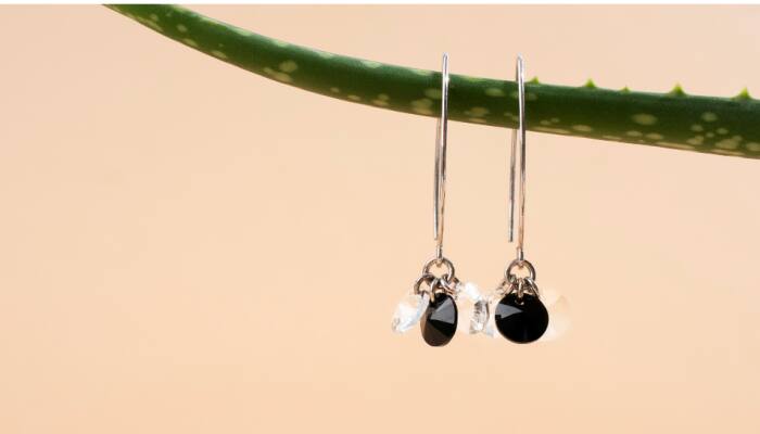 From Chic to Statement: Earrings to Elevate Your Style with Myntra EORS!