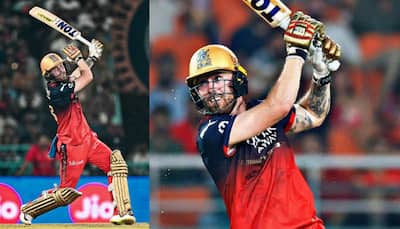 RCB Loyalty At It's Peak: Phil Salt Travels 6817 KM Ahead Of IPL 2025 Final