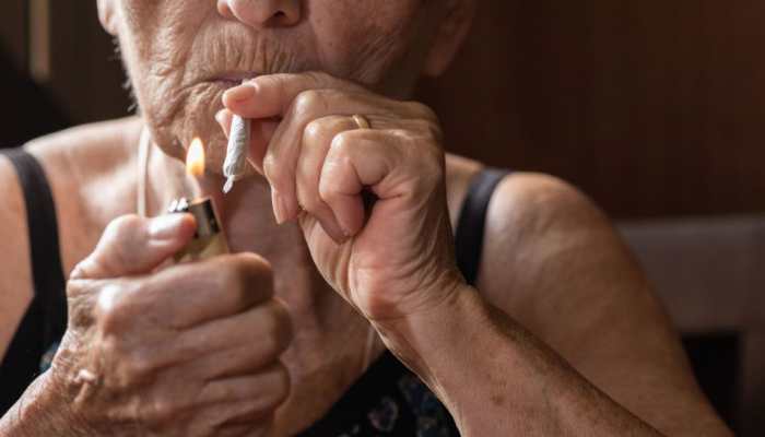 High &amp; Gray: Why America’s Grandparents Are Getting Stoned – Making Doctors Worried