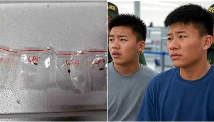 How Chinese Scientists Smuggled Toxic Biological Pathogen Into US?