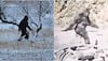 Bigfoot Sighting In Colorado? Viral Video Captures Mysterious Bipedal Creature During Rafting Tour | WATCH
