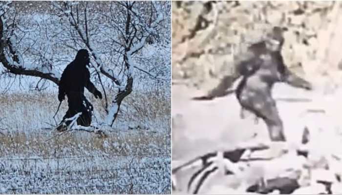 Bigfoot Sighting In Colorado? Viral Video Captures Mysterious Bipedal Creature During Rafting Tour | WATCH