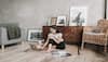 World Environment Day 2025: Can Our Homes Truly Be Sustainable Without Sacrificing Comfort?