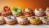 gourmet donuts