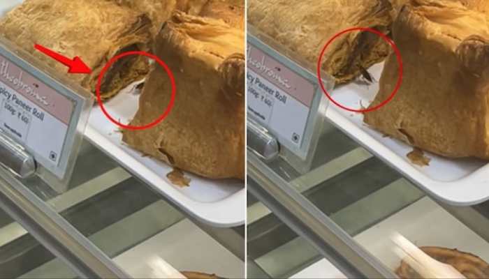 Viral Video Exposes Cockroach On Paneer Rolls At Theobroma's Mumbai Outlet | WATCH