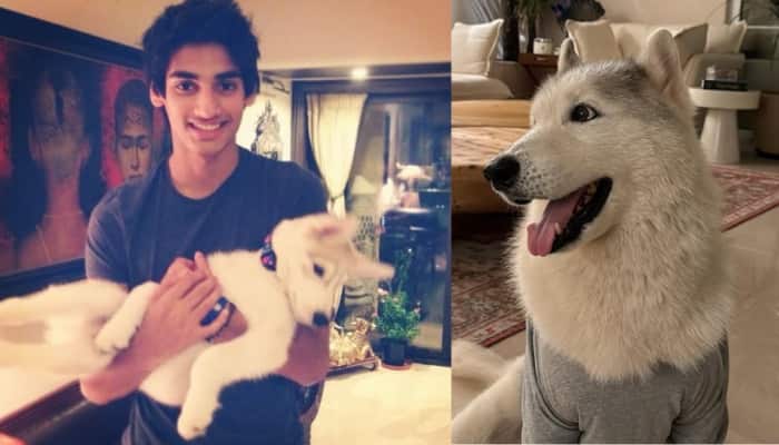 'Until We Meet Again' Athiya And Ahan Shetty’s Beloved Pet Brody Passes Away