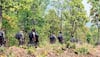 Chhattisgarh: Seven Naxalites, Including Two Top Leaders, Killed In Three-Day Operation In Bijapur