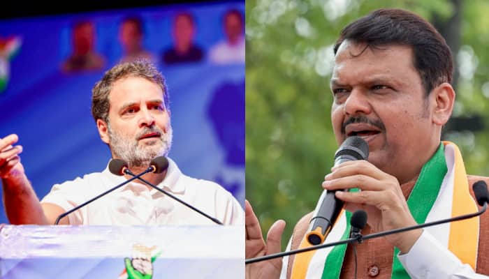 'Dhool Chehre Pe Thi...': Fadnavis's Subtle Counter To Rahul Gandhi's Claims