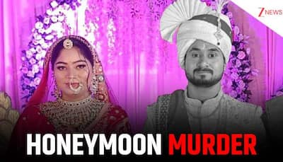 Betrayal On Honeymoon: Sonam Raghuvanshi Planned Contract Killing Of Husband Raja Raghuvanshi?