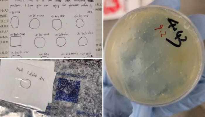 3rd Chinese Scientist Arrested In Days: What's Behind US Biological Smuggling?