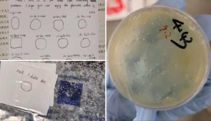Third Chinese Scientist Arrested In Days: What's Behind The US Biological Smuggling Crackdown?