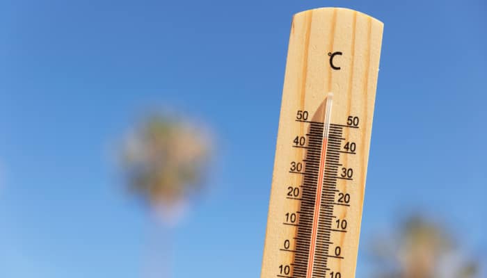 Kashmir Reels Under Rare Heat Wave: Temperatures Soar 5°C Above Normal