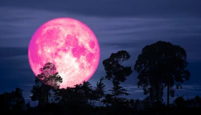 Strawberry Moon 2025: When And Where To Watch June’s Magical Full Moon And Science Behind Its Glow
