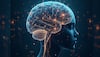 Brain training