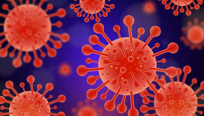 Study Finds Covid-19 Virus Can Cause Immune System To Attack Healthy Cells