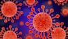 Study Finds Covid-19 Virus Can Cause Immune System To Attack Healthy Cells Amid Spread Of New Variant