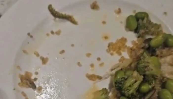 Viral Video: Caterpillar In IAS Couple's Salad Triggers Hygiene Scandal At Gurgaon Restaurant