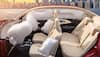 THIS Maruti Car Rocks Bharat NCAP Crash Test, Scores 5-Star Safety Rating; Priced Under 7 Lakh - 360 Degree Camera And More