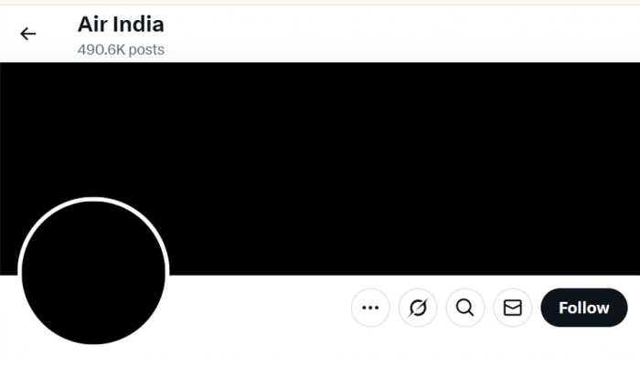 Ahmedabad Plane Crash: Air India X Profile Picture, Banner Image Blacked-Out