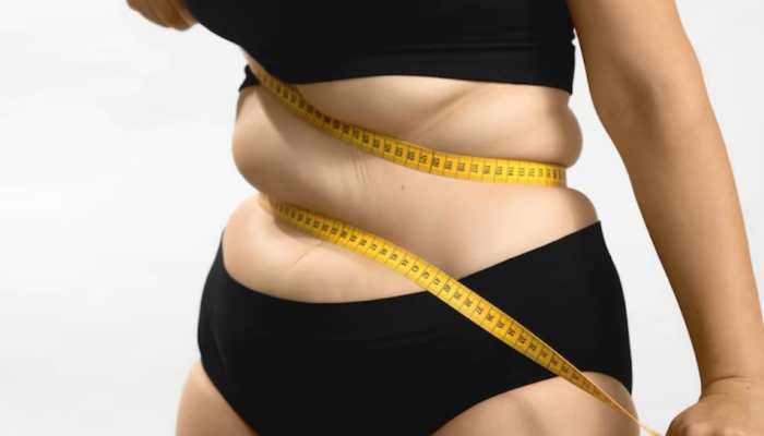 Belly Fat Be Gone! Effective Belly Fat Loss Strategies Without Gym