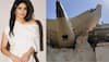 Priyanka Chopra Stands With Ahmedabad Plane Crash Victims, Shares Heartfelt Condolences
