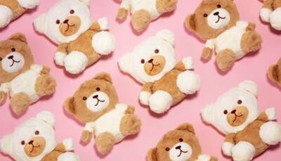 Cuteness Overload! 4 Kawaii Plush Toys You Can’t Resist on Amazon