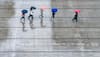 IMD Issues Orange Alert For Heavy Rain In 10 Districts Of Kerala