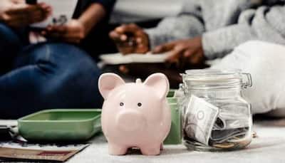 Household Savings In India Drop To 18.1 Per Cent Of GDP In FY24: CareEdge Ratings