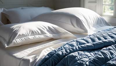 Shop Elegant Bed Covers for a Stylish Bedroom Makeover