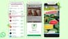 WhatsApp To Start Showing Ads In Updates Tab, Personal Chats To Remain Unaffected