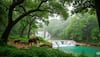 Monsoon adventure