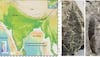 In Assam's Coalfield, A 24-Million-Year-Old Fossil Discovery Shocks...Sheds Light On Existence Of Rare...